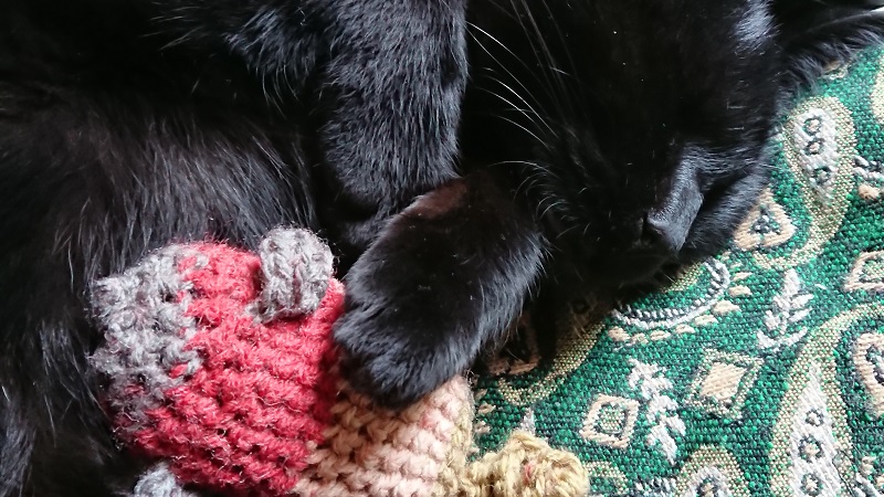 the cat seemed at ease with a crocheted mouse that it held gently in its arms