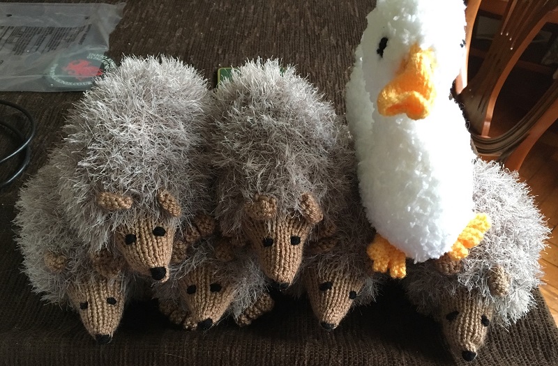 knitted hedgehogs made by Jude Hanlon for sale at fairs to generate income for the charity Porridge and Rice